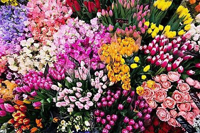 《迪士尼奇幻岛》预告公开 7月28日登陆Switch